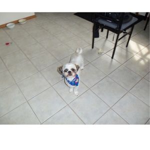 Meet your Posher, Camryn